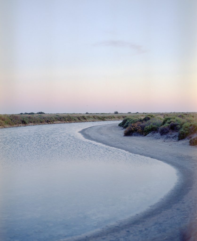 Výstava fotografií „ecosystem Camargue“ Ester Sabik